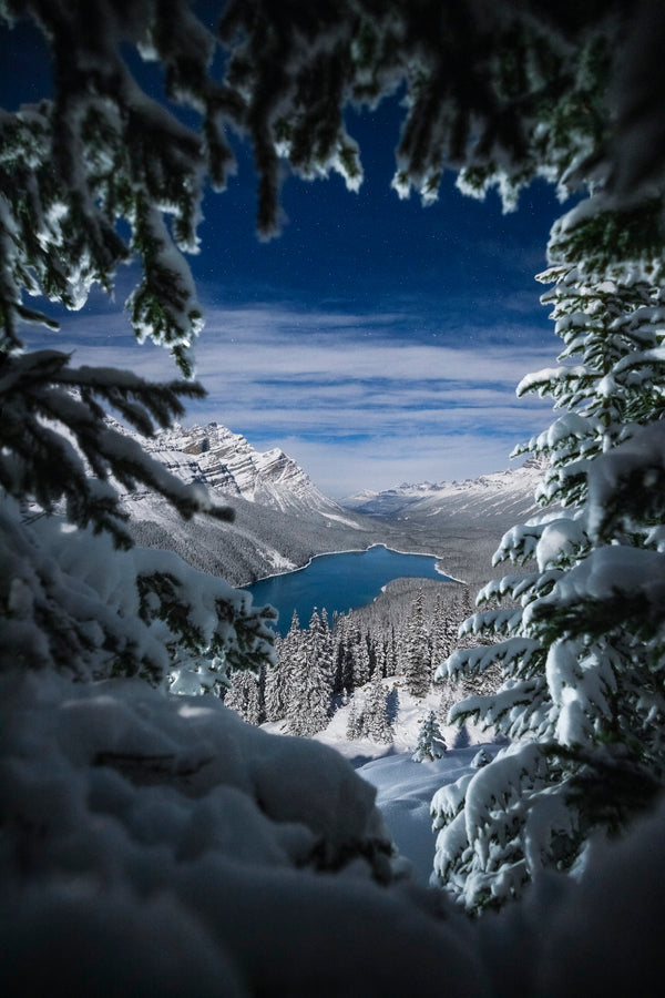 Moonlit Night at Peyto Lake