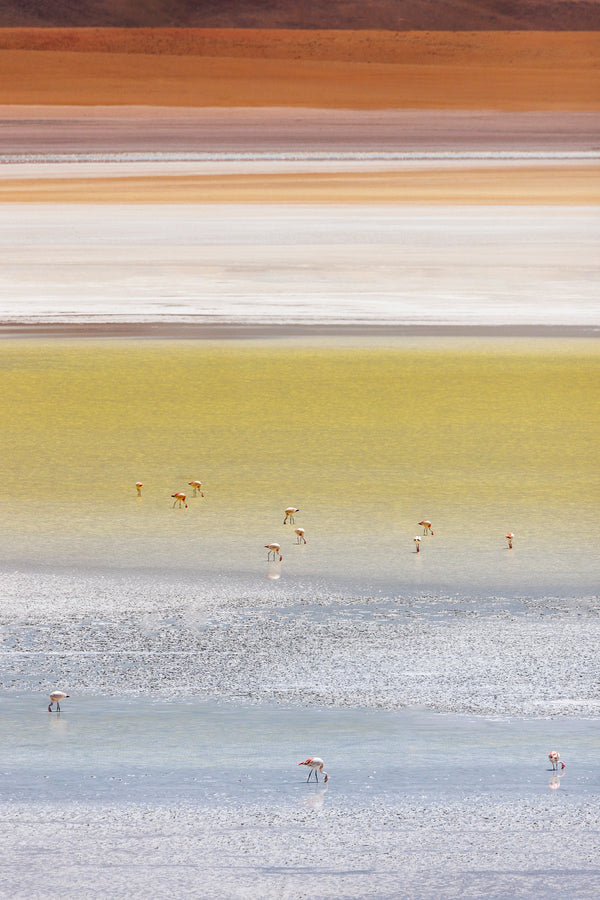 Palette of the Altiplano