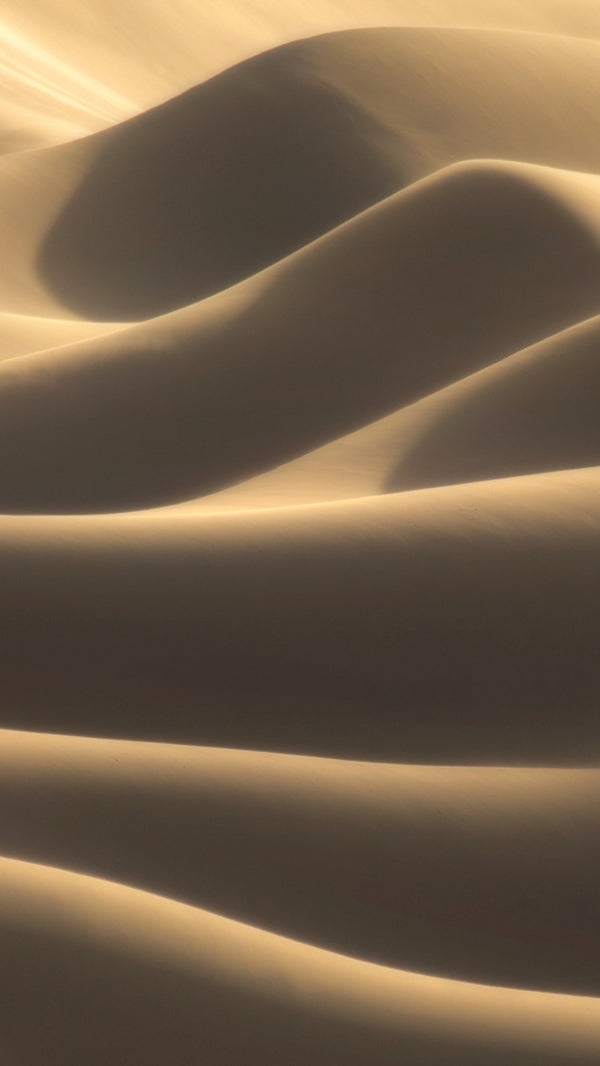 Wallpaper - Dunes
