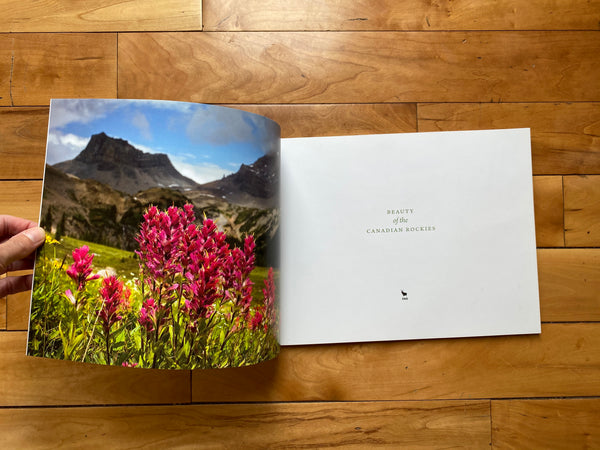 Beauty of the Canadian Rockies