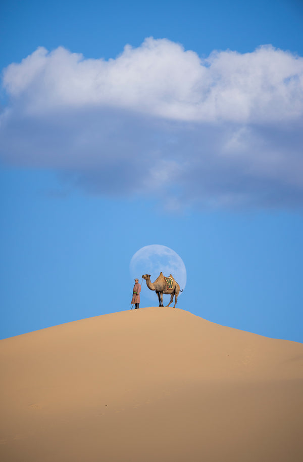 Cloud Herder