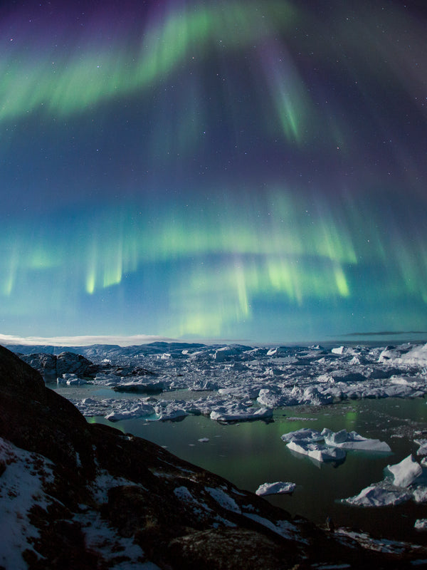 Wallpaper - Night Wonder