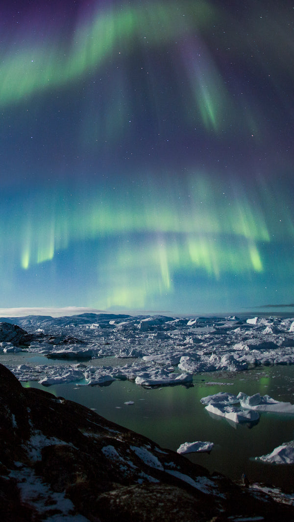 Wallpaper - Night Wonder