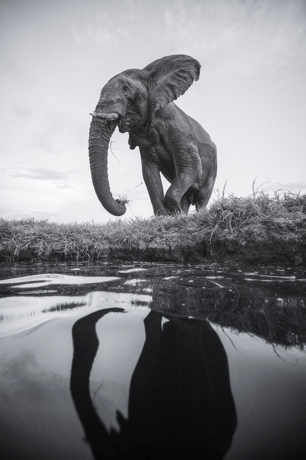 Largest on the Land