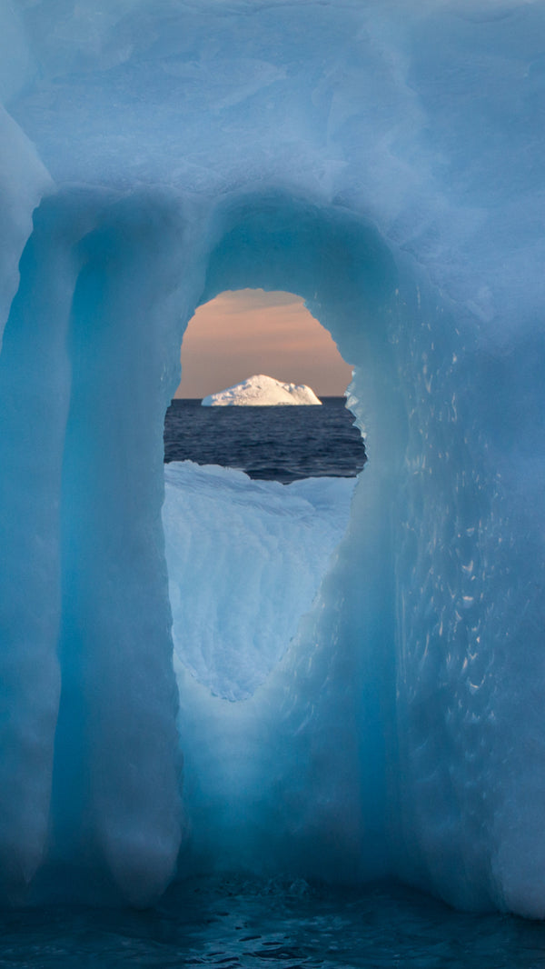 Wallpaper - The Window