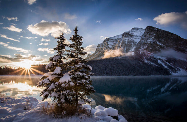 First Light