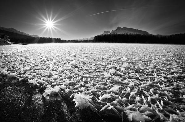 Crystal Morning
